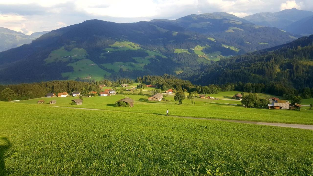 Schrandl Apartment Penningberg Hopfgarten im Brixental Kültér fotó