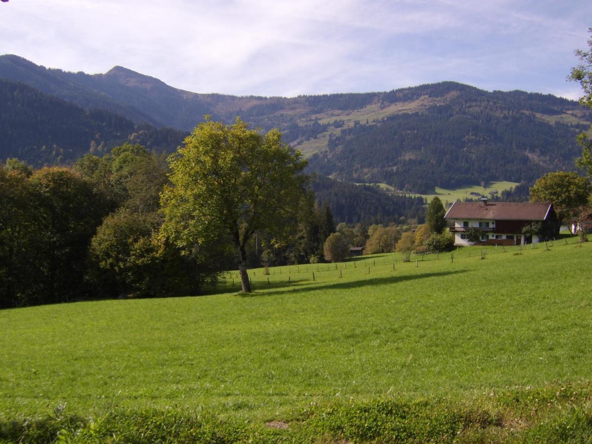 Schrandl Apartment Penningberg Hopfgarten im Brixental Kültér fotó