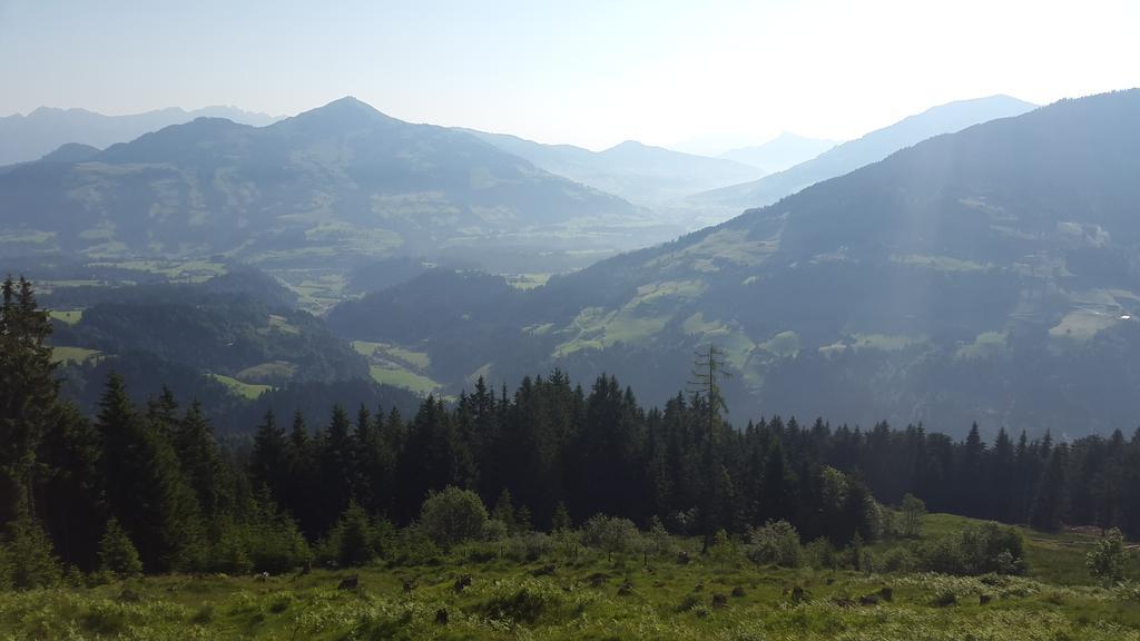 Schrandl Apartment Penningberg Hopfgarten im Brixental Szoba fotó
