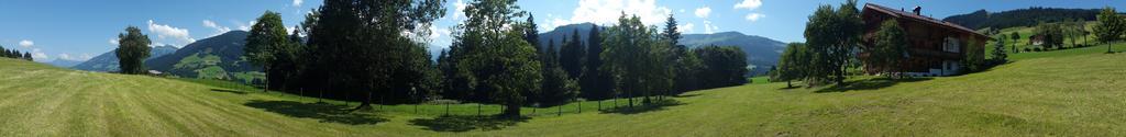 Schrandl Apartment Penningberg Hopfgarten im Brixental Kültér fotó