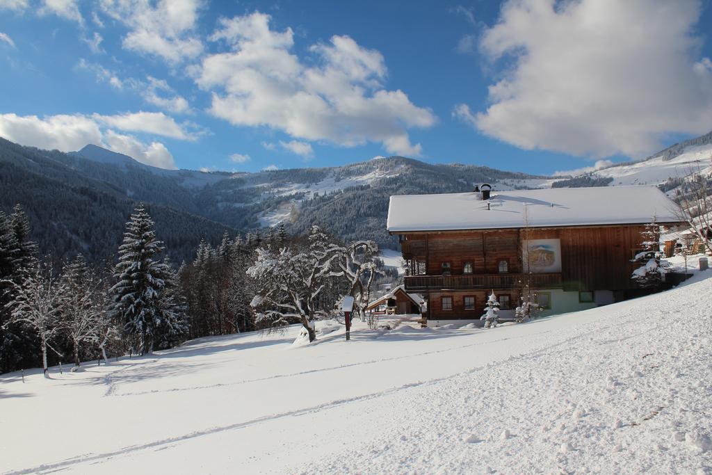 Schrandl Apartment Penningberg Hopfgarten im Brixental Kültér fotó