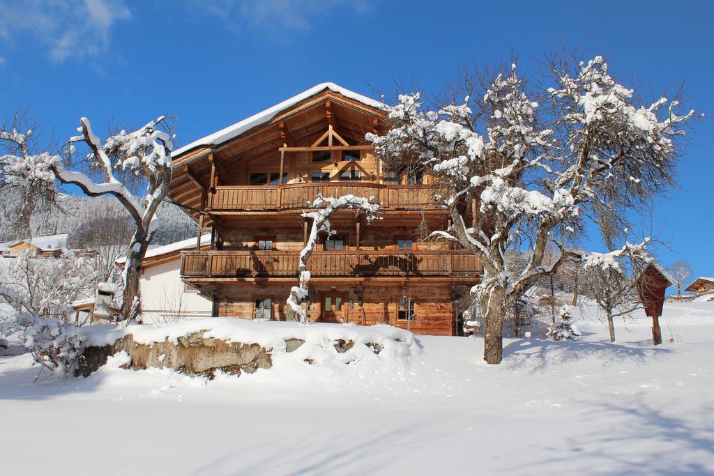 Schrandl Apartment Penningberg Hopfgarten im Brixental Kültér fotó