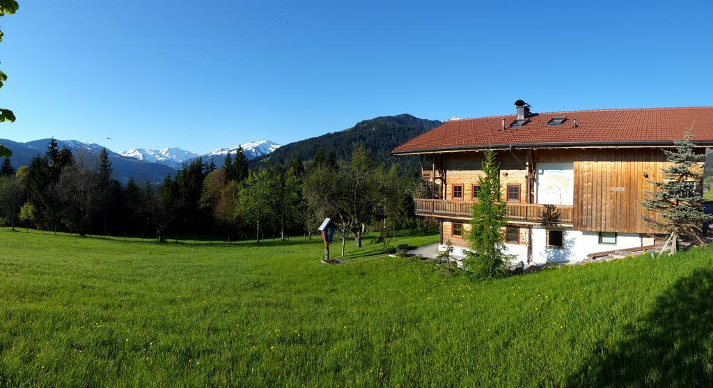 Schrandl Apartment Penningberg Hopfgarten im Brixental Kültér fotó