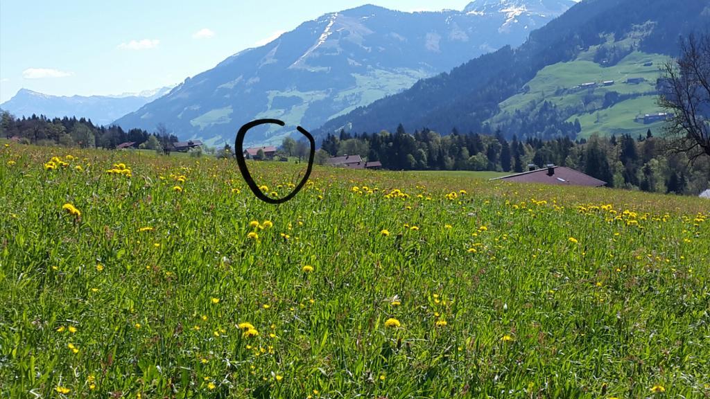 Schrandl Apartment Penningberg Hopfgarten im Brixental Kültér fotó