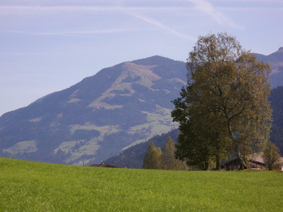 Schrandl Apartment Penningberg Hopfgarten im Brixental Kültér fotó