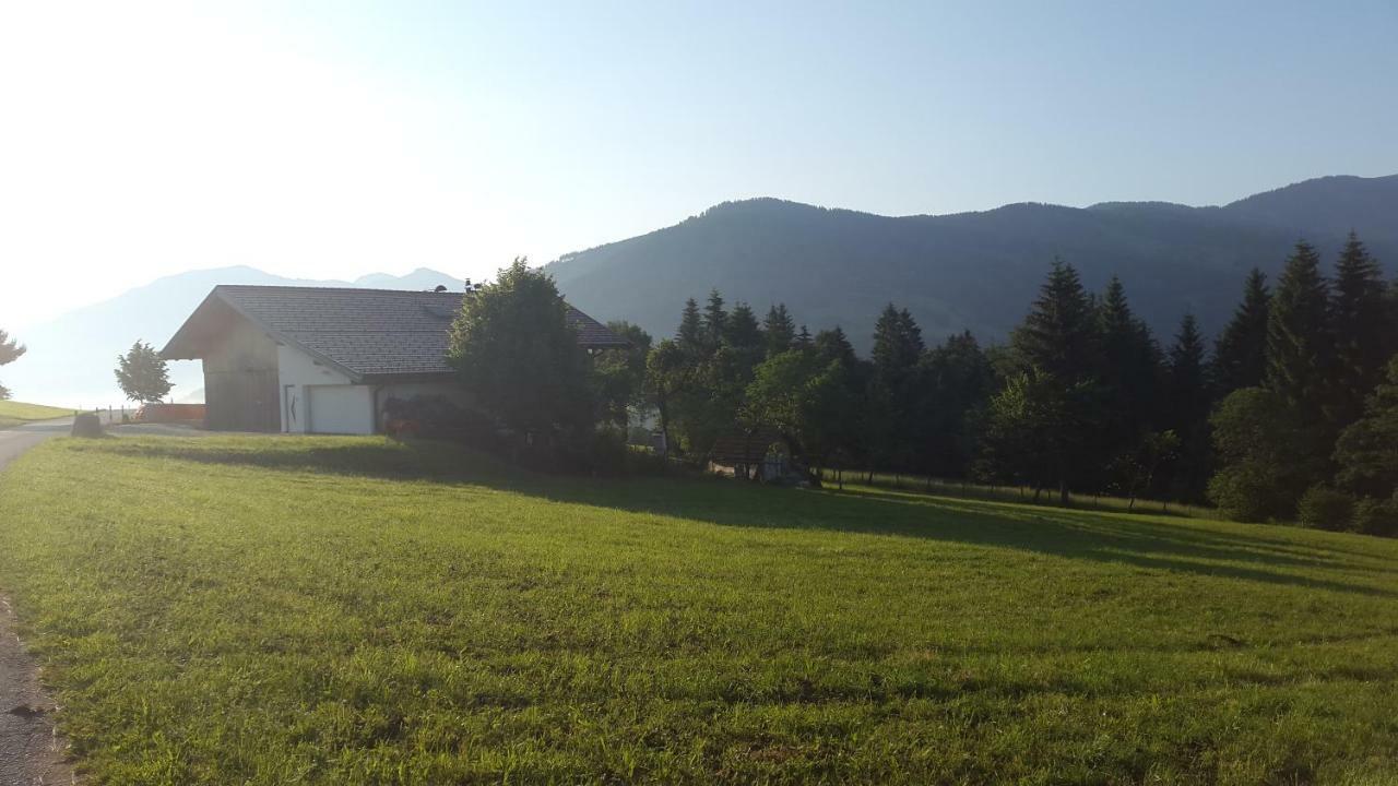 Schrandl Apartment Penningberg Hopfgarten im Brixental Kültér fotó