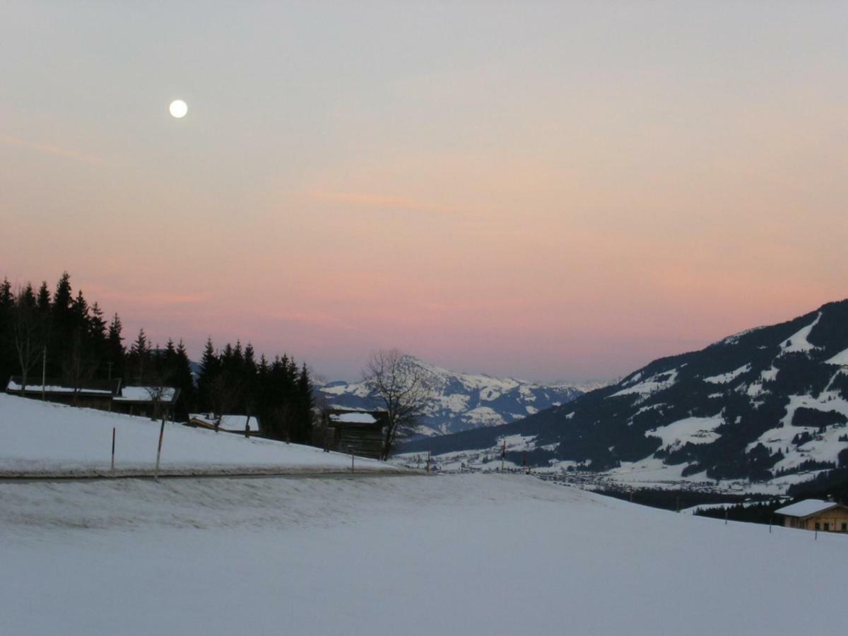 Schrandl Apartment Penningberg Hopfgarten im Brixental Kültér fotó