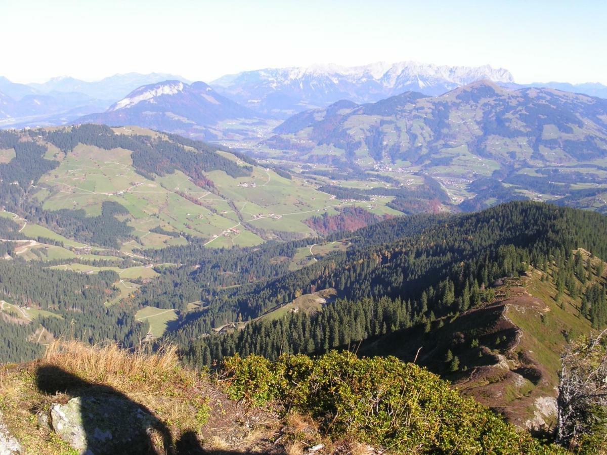 Schrandl Apartment Penningberg Hopfgarten im Brixental Kültér fotó